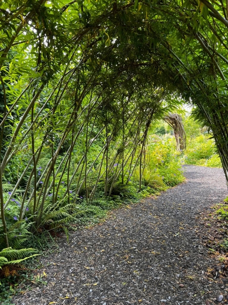 Ty Hafan Children's Hospice Garden